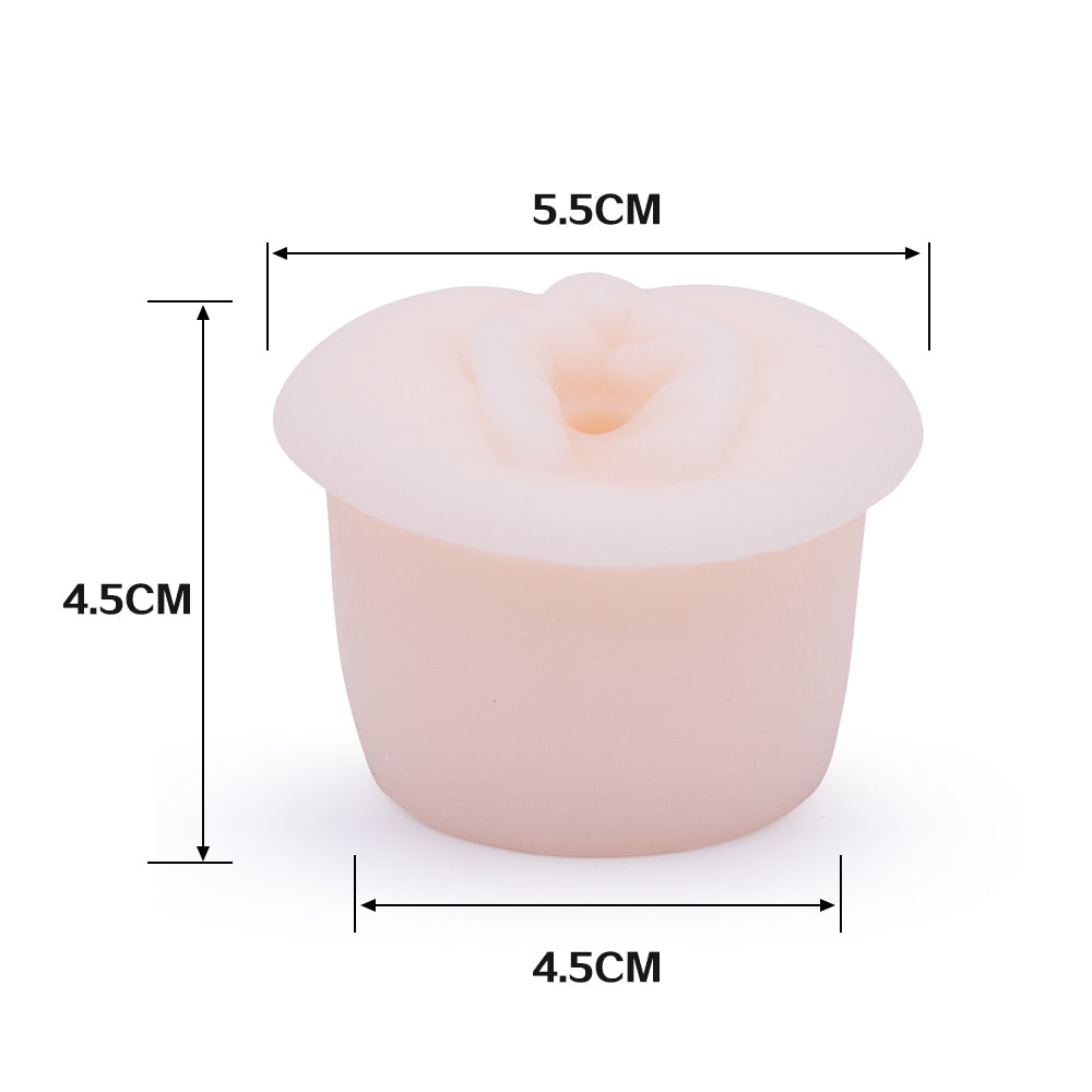 Bomba Peniana Manual